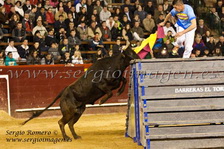 Torneo Vacas Falleras (18 Marzo 2013)