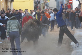 Bous Massamagrell 24 Enero