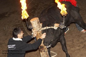 Bous Benavites 31 Enero