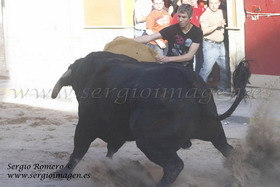 Bous Vall d'Uixo 16 Mayo 2009