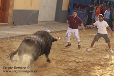 Bous foios 27 Junio 2009