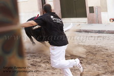 Bous Alm�ssera 11 Julio 2009 - 20� Aniversario Penya Taurina Pilo -