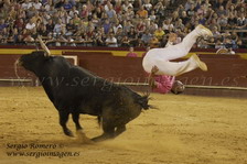 Concurso Recortes Feria de Julio Valencia 2009