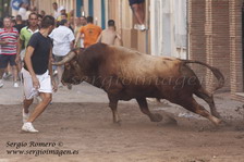 Bous Meliana -Comissi� Jove 07- 1 Agosto 2009