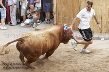 Bous Meliana -Comissi� Taurina Dona't Aire- 8 Agosto 2009