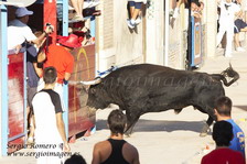 Bous Museros 14 Agosto 2009