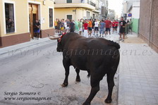 Torico de la cuerda de Chiva 18 Agosto 2009