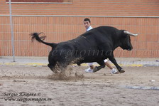 Bous La Pobla Farnals 28 Agosto 2009 (Penya Moratall)