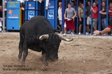 Bous Meliana (19 Septiembre 2009)