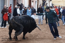 Bous Massamagrell (23 Enero 2010)