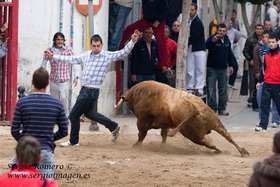 Bous Museros (17 Abril 2010)