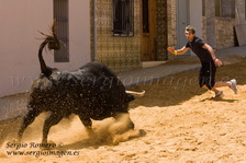 Bous Montserrat (24 Abril 2010)