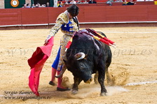Corrida en Honor a la Virgen de los Desemparados (08 Mayo 2010)