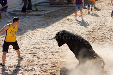 Bous Albuixech (05 Junio 2010)