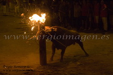 Bous Foios -Penya Pensat i Fet-(03 Julio 2010)