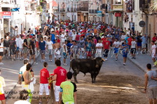 Bous Meliana -C.T. Dona't Aire- (6 Agosto 2010)