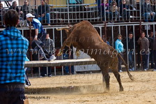 Concurso Primavera Taurina Meliana (27 Marzo 2011)