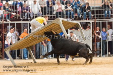 Concurso Primavera Taurina Meliana (03 Abril 2011)