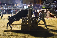 Concurso Primavera Taurina Meliana (09 Abril 2011)