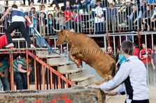 Concurso Primavera Taurina Meliana (16 Abril 2011)