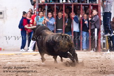 ous Museros  (30 Abril 2011)