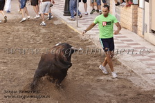 Bous Albuixech (18 Junio 2011)