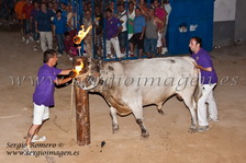 Bous Foios (25 Junio 2011)