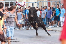 Bous Foios (02 Julio 2011)
