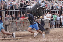 Semana Taurina Museros