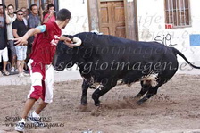 Bous Meliana (06 Agosto 2011)