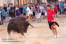 Bous Albalat dels Sorells (13 Agosto 2011)
