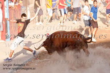 Bous Museros (14 Agosto 2011)