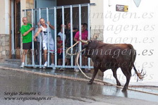 Torico de la cuerda Godelleta (25 Agosto 2011)