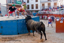Torico de la cuerda Godelleta (27 Agosto 2011)