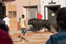 Bous Rafelbunyol (09 Septiembre 2011)