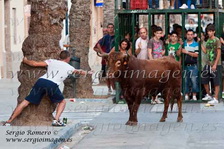 Bous Massamagrell (10 Septiembre 2011)