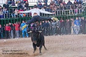 II Concurso de ganaderias ciudad de Moncada 2012 (11 Febrero 2012)