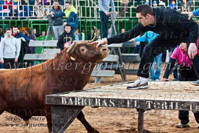 II Concurso de ganaderias ciudad de Moncada 2012 (11 Febrero 2012)