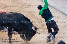 Bous Rafelbunyol (03 Marzo 2012)