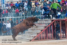 II Feria Primavera Taurina Meliana (10 Marzo 2012)