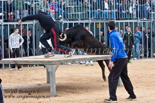 II Feria Primavera Taurina Meliana (24 Marzo 2012)