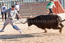 II Feria Primavera Taurina Meliana (06 Abril 2012)