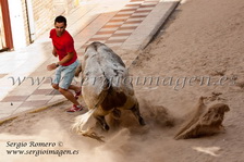 Bous Albuixech (02 Junio 2012)