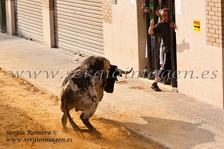 Bous Foios (30 Junio 2012)