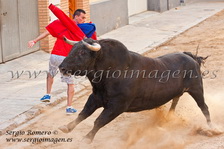 Bous Foios (07 Julio 2012)