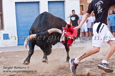 Bous Meliana (04 Agosto 2012)