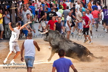 Bous Albalat dels Sorells (17 Agosto 2012)