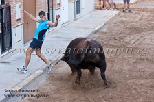 Bous Rafelbunyol (24 Agosto 2012)