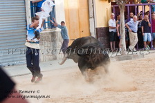 Bous Albalat (01 Septiembre 2012)