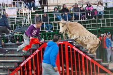 Bous Moncada (23 Febrero 2013) Bous Moncada (23 Febrero 2013)